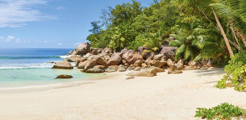 Seychely Seychely Seychelské ostrovy jsou rájem na zemi, a to v pravém slova smyslu. Čekají na vás liduprázdné bílé pláže s žulovými balvany a palmami, dokreslující smyslnost této země.