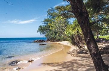 Jeden z neluxusnějších resortů na ostrově Phu Quoc Wi-Fi v celém resortu Kvalitní restaurace a bar Klidné místo na privátní pláži Vily i pro rodiny či skupiny přátel s bazénem Voda na pokoji www.