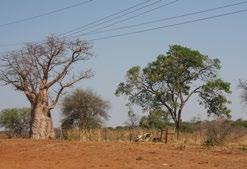 Specifika: JAR, Botswana, Namibie, Tanzanie, Keňa, Zimbabwe Kempy, hotely, luxusní resorty a lodge Golf v Jihoafrické republice či Keni Vlakové programy Varianty pro rodiny, dobrodruhy i romantiky