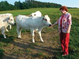 NeumoÏÀuje to rozloha pozemkû a kapacita hospodáfisk ch budov. Inseminace Polan tí dûlají a vïdy dûlali pfieváïnû inseminaci.