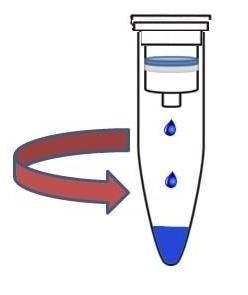 MOLEKULÁRNÍ BIOLOGIE II IZOLACE DNA A PCR IZOLACE DNA 1. přidejte k buněčnému lyzátu v mikrozkumavce 200 μl 96% ethanolu 2. promíchejte obsah mikrozkumavky opakovaným převrácením 3.