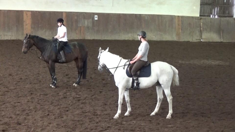 Smluvní pracoviště EQUIPARK o.p.s. Svinčice, výuka oboru Jezdec a chovatel koní Počet žáků na provozních pracovištích Přehled je uveden v následující tabulce.