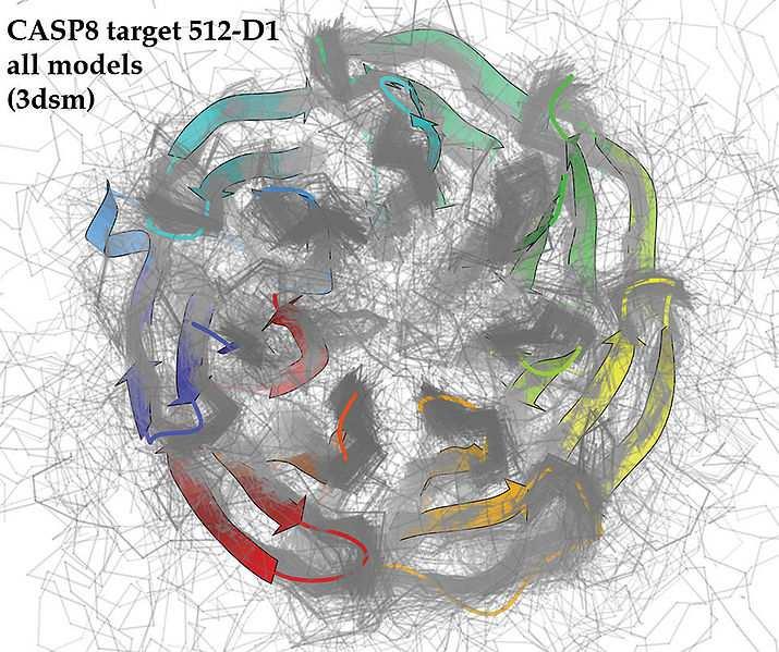 CASP Critical Assessment of Techniques for Protein Structure Prediction Comparison with prepublished x-ray data no prior information for predictors (double-blind)