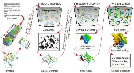 I-TASSER Best automated server for prediction of 3D