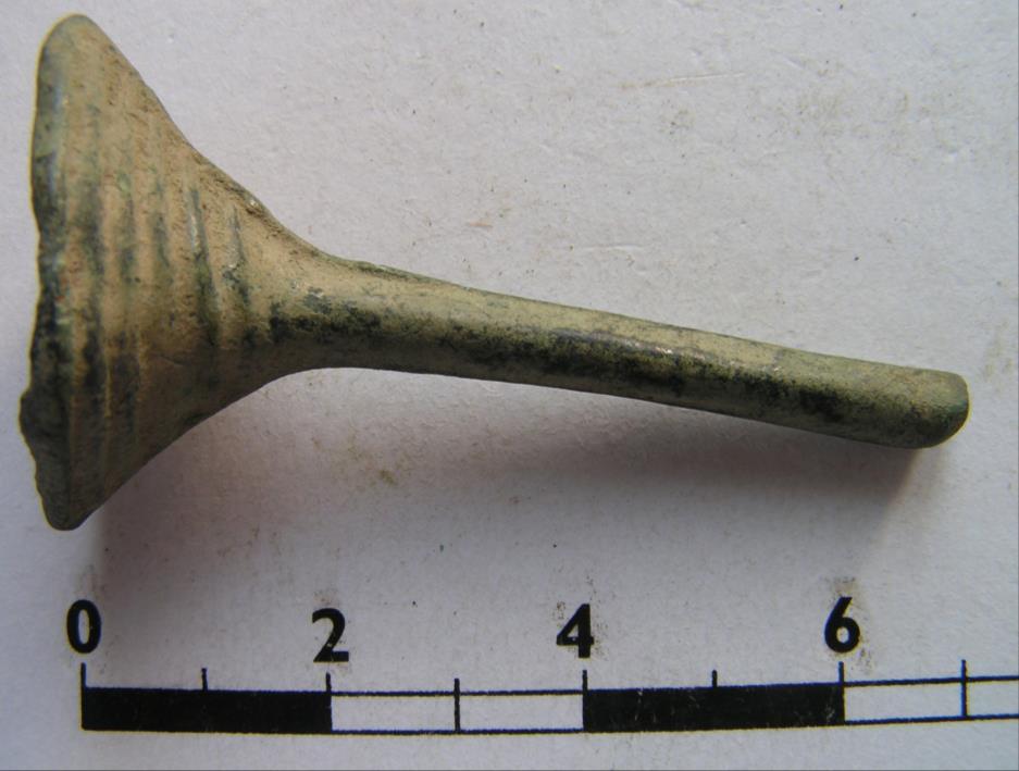 Obr. 41: Kornoutovitý závěsek.