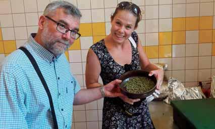Tradice stará pfies tisíc let Pûstování chmele na ãeském území spadá daleko do historie. První zprávy se objevují uï v 11. století.