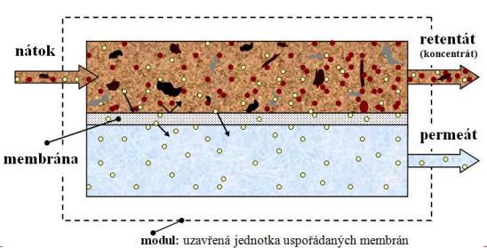 Obrázek 1: Filtrace přes membránový modul Hnací sílu propustnosti přes membránu představuje rozdíl tlaku před a za membránou, kde dochází k jeho snížení.