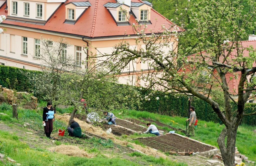 Komunitní zahrada Kuchyňka v
