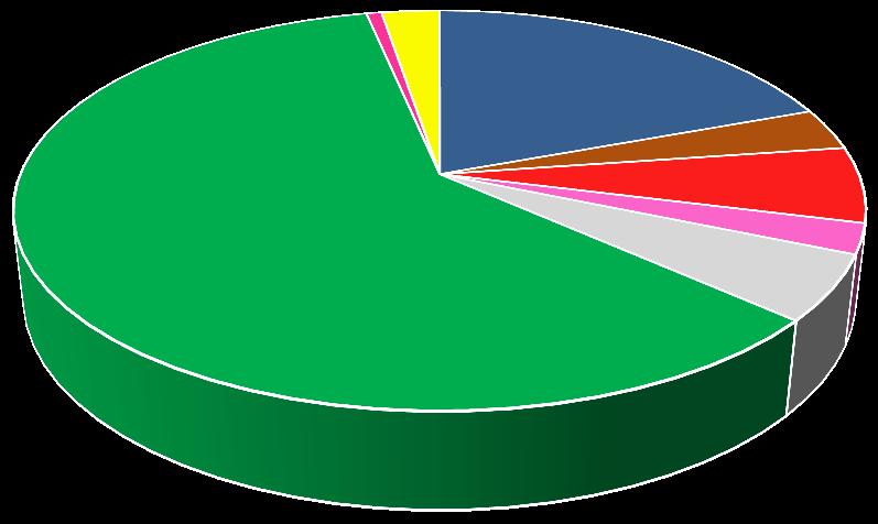 ekonomika v tis. Kč 2013 2014 2015 2016 B. Finanční náklady 54,05 20,99 236,38 42,21 C.