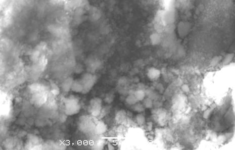 Obr. 7. Srovnání korozní rychlosti slitin Fig. 7. Comparision of alloys corrosion rates Příklady korodovaných povrchů zkušebních vzorků ilustrují Obr.