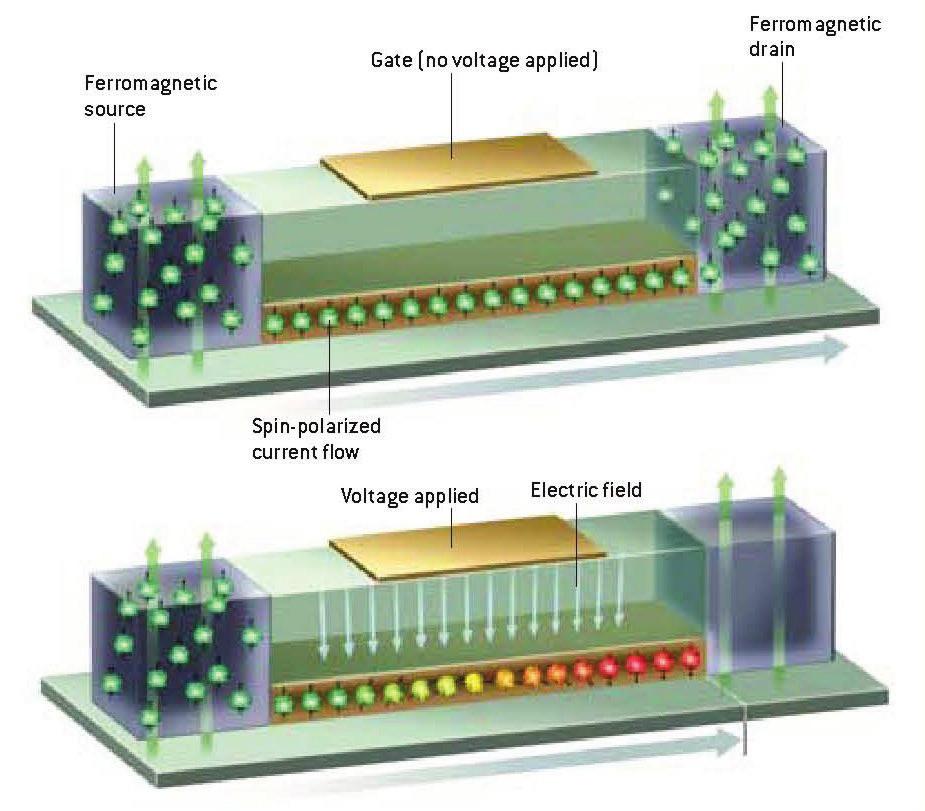 Spintronika předpovězené aplikace: - spinový polem řízený transistor (SFET): - navrhl S. Datta a B.
