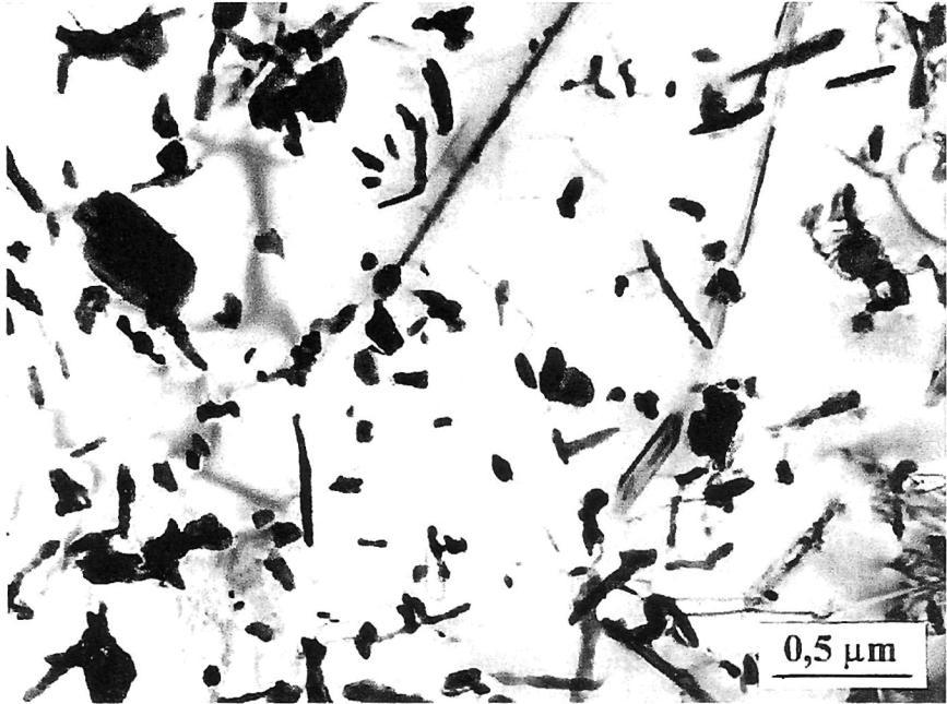 Obr. 14 Částice precipitující Lavesovy fáze typu Fe 2 W [1] Mimo užitečné částice M 23 C 6, Lavesovy fáze a částice MX, převážně VN či NbN, lze v oceli najít i komplexní nitrid CrNbN označovaný jako