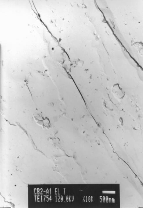 13.5. Vzorek A1 elektrochemicky leptaný do 1. oblasti pásma transpasivity Vzorky A1 obsahují velmi malý počet částic primárních nitridů niobu či vanadu.