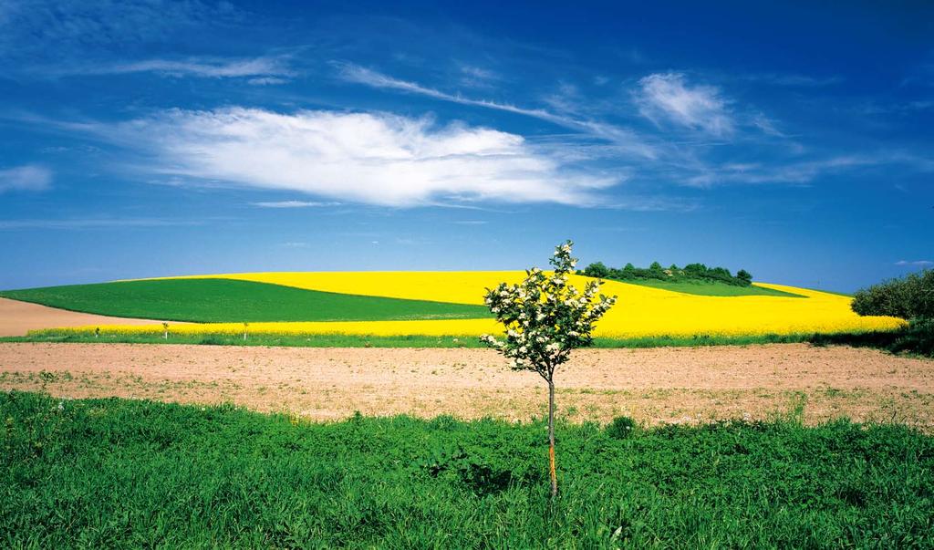 5 Květen May Mai Maj 1 2 3 4 5 6 7 8 9 10 11 12 13 14 15 16 17 18 19 20 21 22 23 24 25 26 27 28 29 30 31 Svátek práce Zikmund Alexej Květoslav Klaudie Radoslav Stanislav Den osvobození / St. sv.