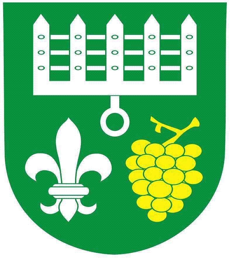 zastupitelstvem
