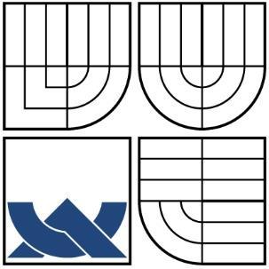 VYSOKÉ UČENÍ TECHNICKÉ V BRNĚ BRNO UNIVERSITY OF TECHNOLOGY FAKULTA PODNIKATELSKÁ