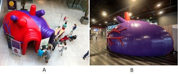 roku 2016 v nadţivotní velikosti nainstalován model srdce na hlavní nádraţí Praha. Maketa srdce má rozměry 3 x 4 m. Je vyrobena z nafukovacího materiálu.