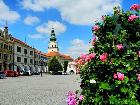 Regionální témata UNESCO, kulturní