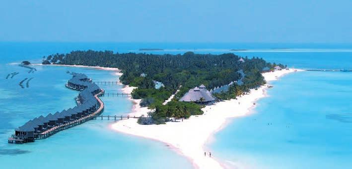 Kuredu Island Resort Tento tradičně velmi oblíbený resort nabízí vše, po čem toužíte bělostnou pláž s jemným pískem, tyrkysovou lagunu s průzračnou vodou, širokou nabídku sportů a výletů.