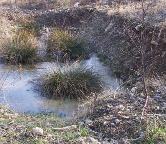 Geochemický monitoring byl v pilotním systému čištění spolu s insitu měřením fyzikálněchemických parametrů prováděn 4 x měsíčně po dobu 4 let a to na vstupu vod do RAPS a pak na výstupech z