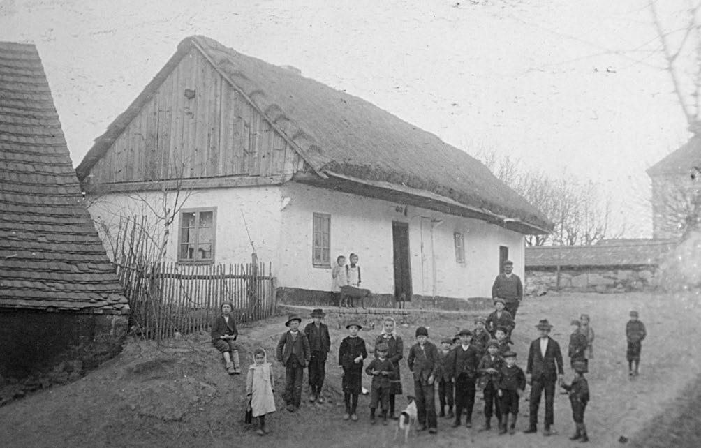 Můj životopis Tyršovka Než jsem přišla na svět, chodily děti z Černic do školy ve Starém Plzenci. Mou první předchůdkyní byla jednotřídní škola, která stála v zahradě domu č.