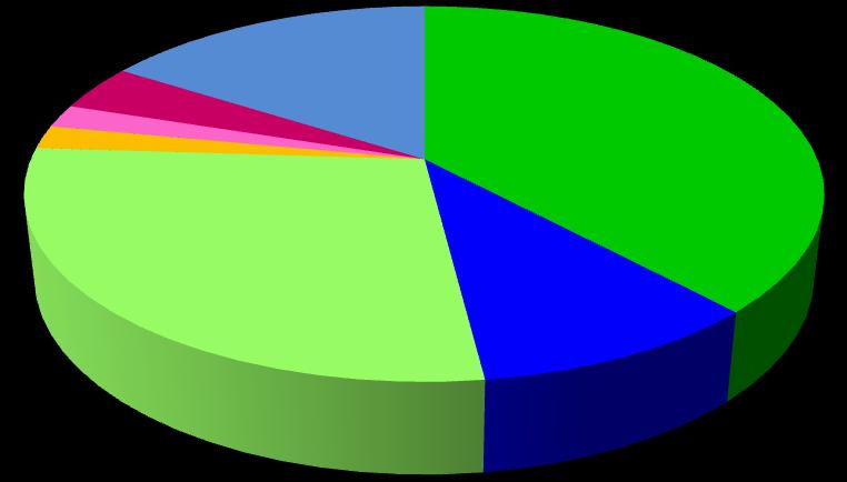 Tabulka 14.2 RSB líh Počet Vyjádření v % Líh se sírou 19 38,0% Dermokosmetika 5 10,0% Eryfluid sol. 14 28,0% Pasta se ZnO 1 2,0% ISIS Glycero A crm.