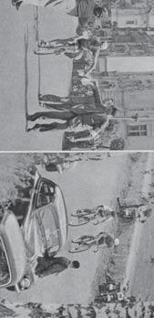 Josef Křivka se narodil na Pardubicku (*1933) a traduje se, že byl sportovním objevem Jaroslava Krátkého ze Sezemic. Ve své kariéře obléká barvy KČV Holice, VCHZ Synthesia Pardubice či Jiskry Rybitví.