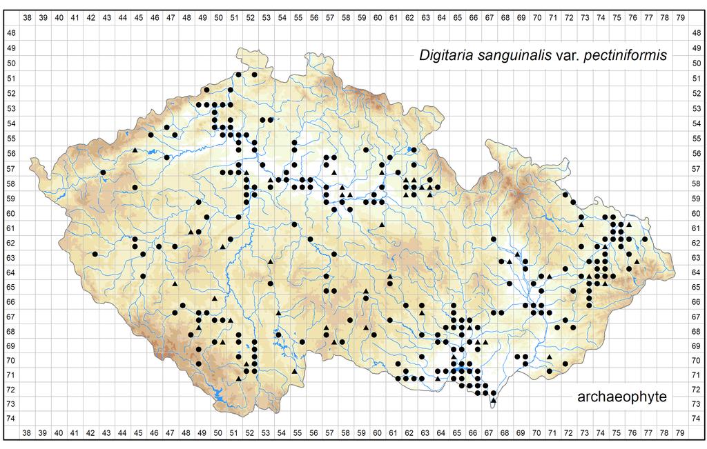 Distribution of Digitaria sanguinalis var.