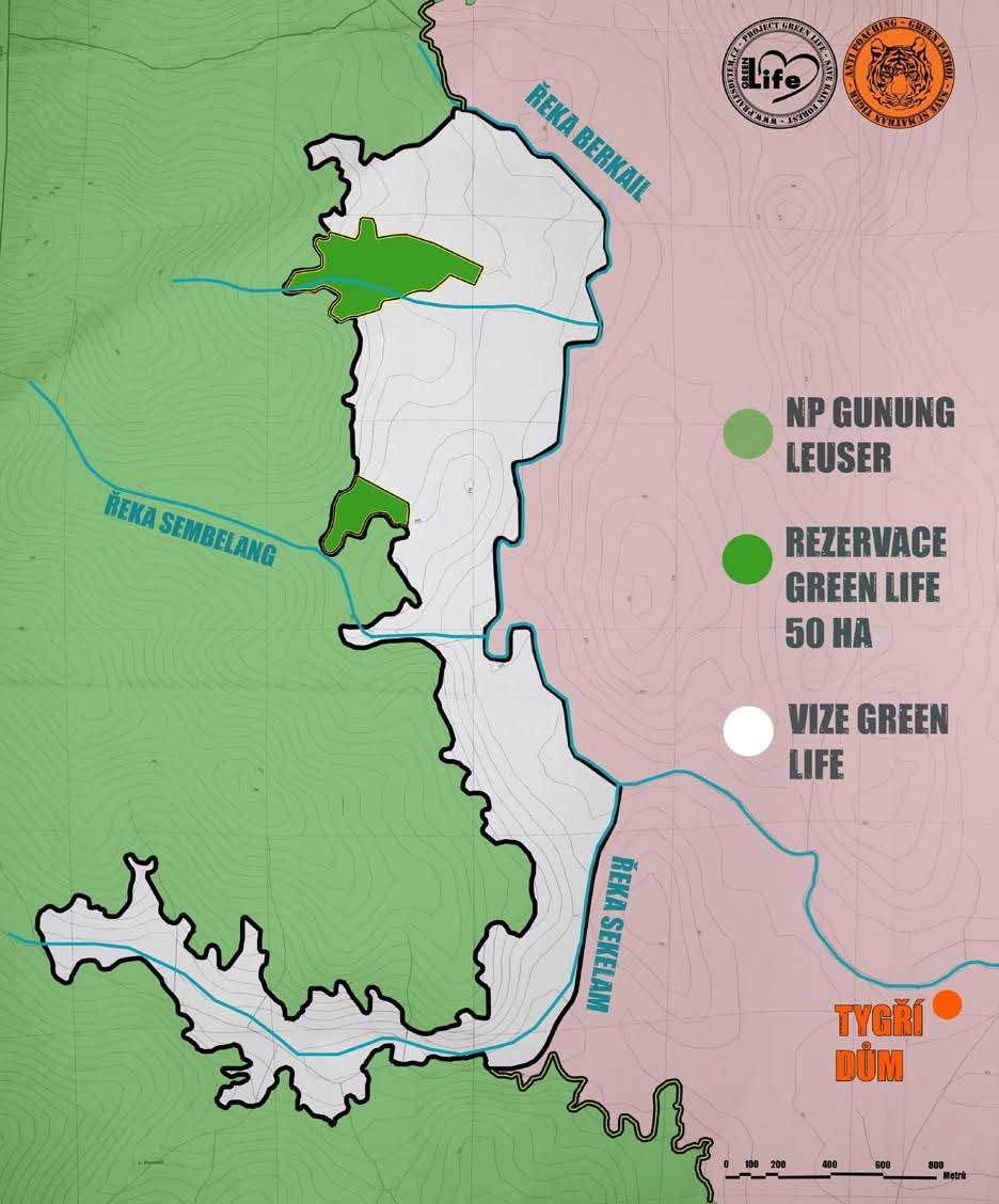 HLAVNÍ ČINNOSTI A CÍLE SPD PRALESNÍ REZERVACE GREEN LIFE Myšlenkou projektu Green Life je skutečnost: Pralesy lze vykoupit společnými silami dříve, než je vykoupí ti, kteří je chtějí zničit ve jménu