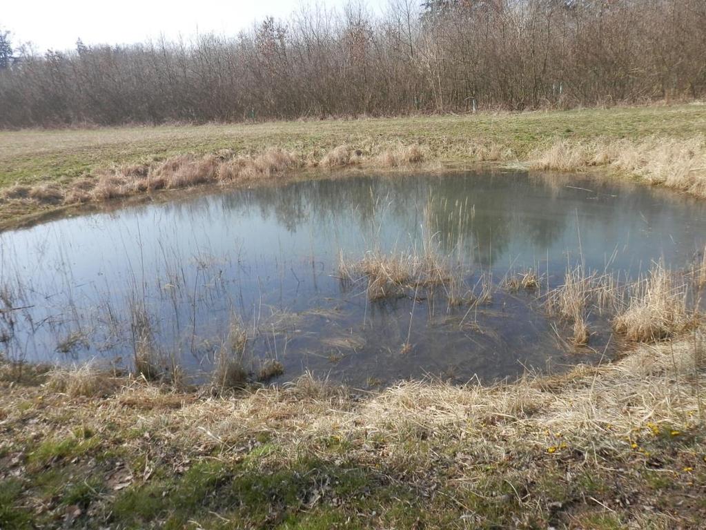 Příloha č.