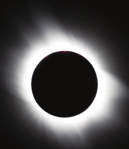 Америкалық ғалымдар бөтелкедегі шайлардың құрамында тас түзу ші оксалат концентрациясының жоғары болатынын анықта ды. MIGnews.