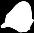 Toilet trainer seat Little Mole & Parasol 6463.01 6463.06 6463.07 6463.09 6463.