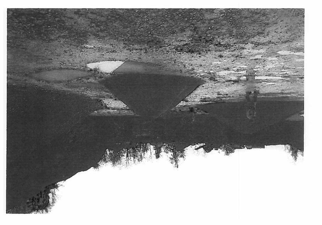. Ii- 9;