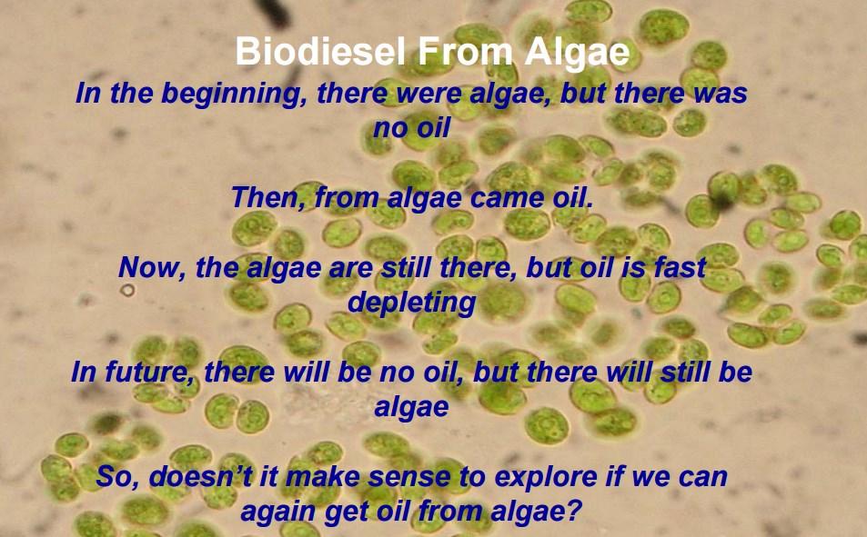 In the beginning, there were algae, but there was no oil Then, from algae came oil.