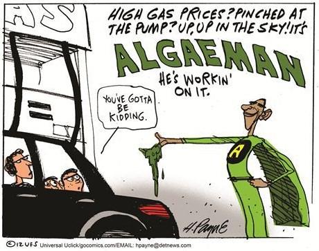 2012 Obama's Energy Plan -- Algae (CNSNews.