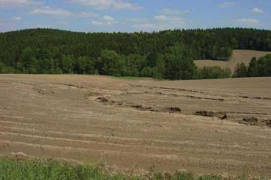 Foto 1. Rýhová eroze v řádkách brambor (zdroj: Kvítek T.) Foto 2. Jemný erozní smyv zachycený na travním porostu, před vstupem do vodního toku (zdroj: Kvítek T.