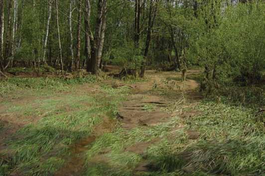 Tyto skutečnosti budou zohledňovány v etapách, zabývajících se kategorizací drenážních systémů a návrhem listů opatření typu A.