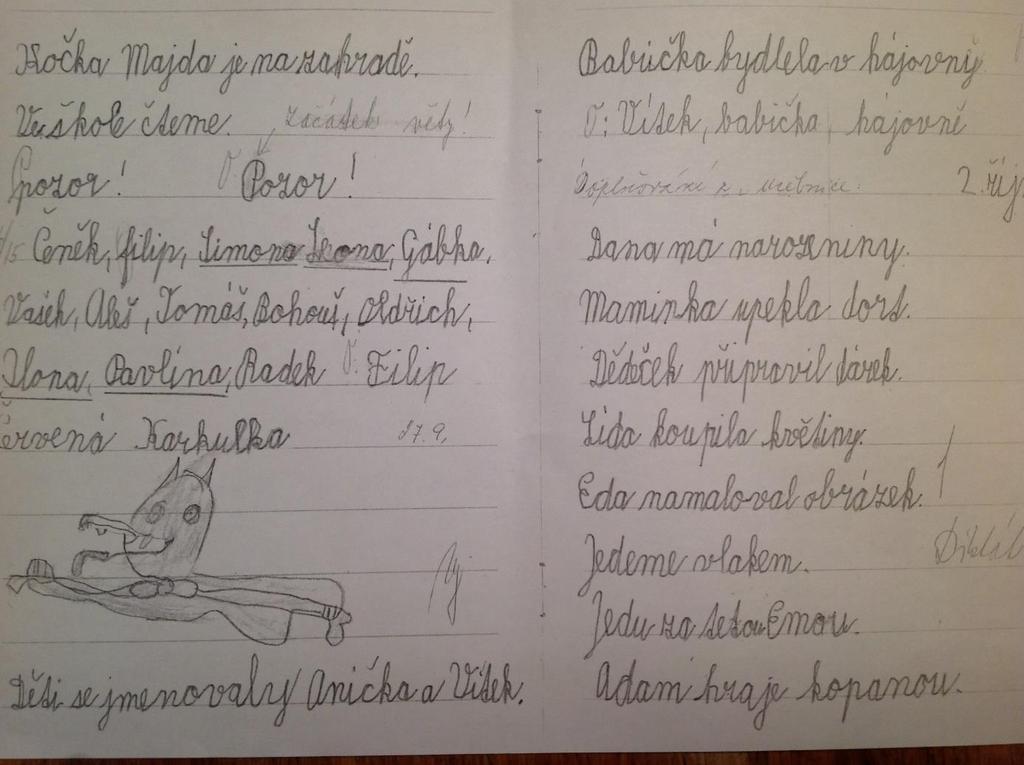 Příloha č.