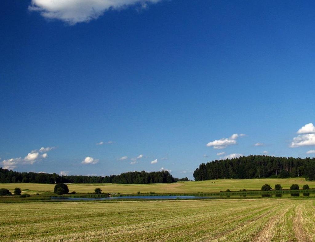 SYSTÉM BONITOVANÝCH PŮDNĚ EKOLOGICKÝCH JEDNOTEK SOUČASNOST A JEJICH