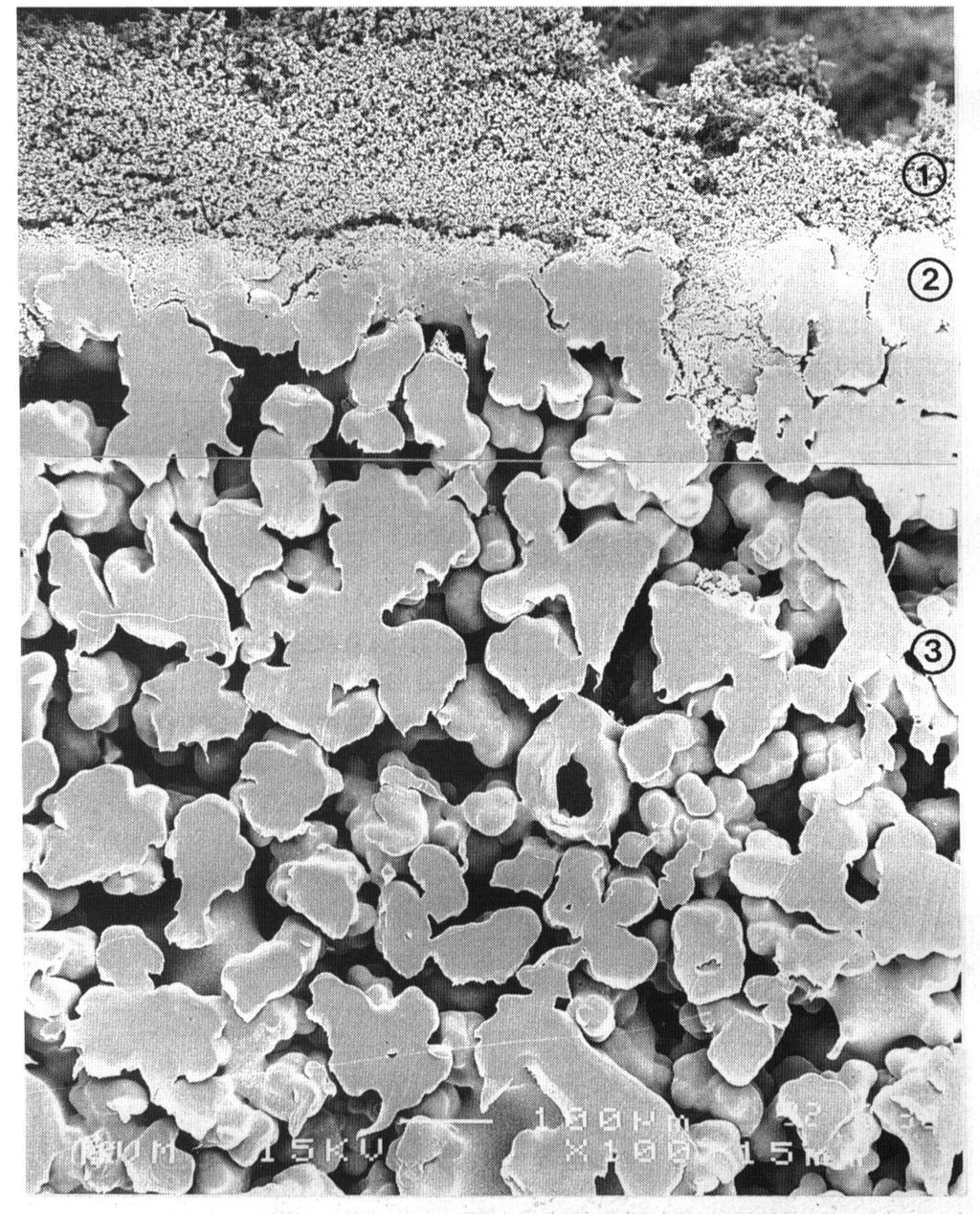 Filtrační materiál HERDING Složení filtrační vrstvy: příčný řez Filtrační koláč z filtrovaného prachu velikost zrna < 8 µm PTFE-vrstva: