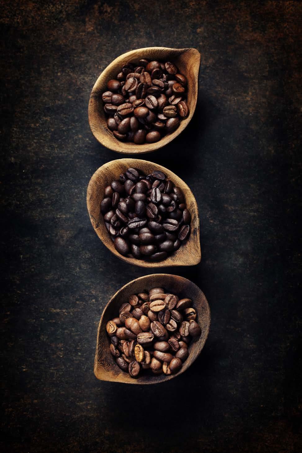 Musetti Caffé a aktívne pôsobia v oblasti gastronómie. Aj vy túžite po tom, aby vaši zákazníci rozprávali o káve vo vašej kaviarni všetkým svojím známym ako o genialite a skvoste?