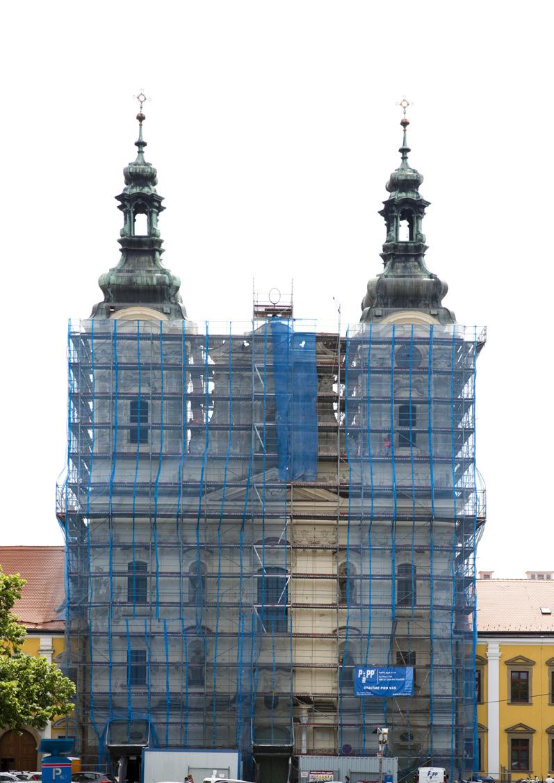 LEŠENÁŘ NEPRAVIDELNÝ BULLETIN