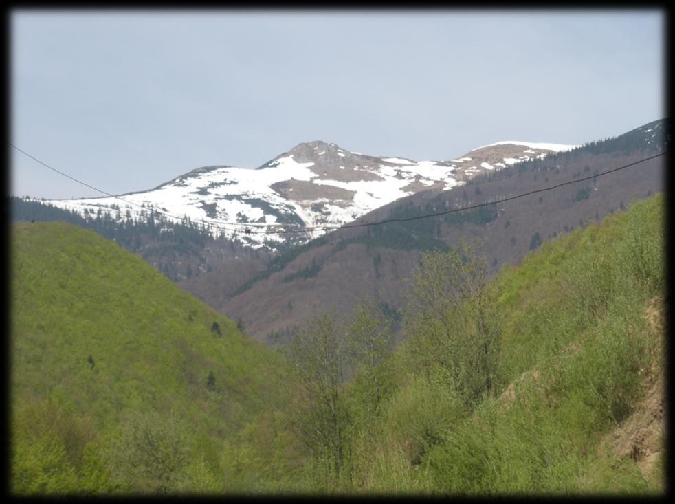 Marec Po dlhej zime už dávajú kopce dole svoje bielučké čiapočky a chystajú sa na pekné zelené šaty. Príroda sa konečne prebúdza a čakáme na prvý jarný deň.