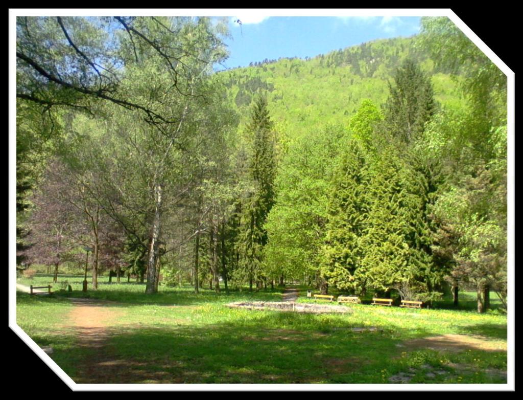 2 3 4 5 6 7 8 9 10 11 12 13 14 15 16 17 18 19 20 21 22 23 24 25 26 27 28 29 30 1 Ak pochopíš krásu prírody, nemôžeš zablúdiť. Cicero Zrelé plody Matky prírody pohladia Tvoje oči i jazyk.