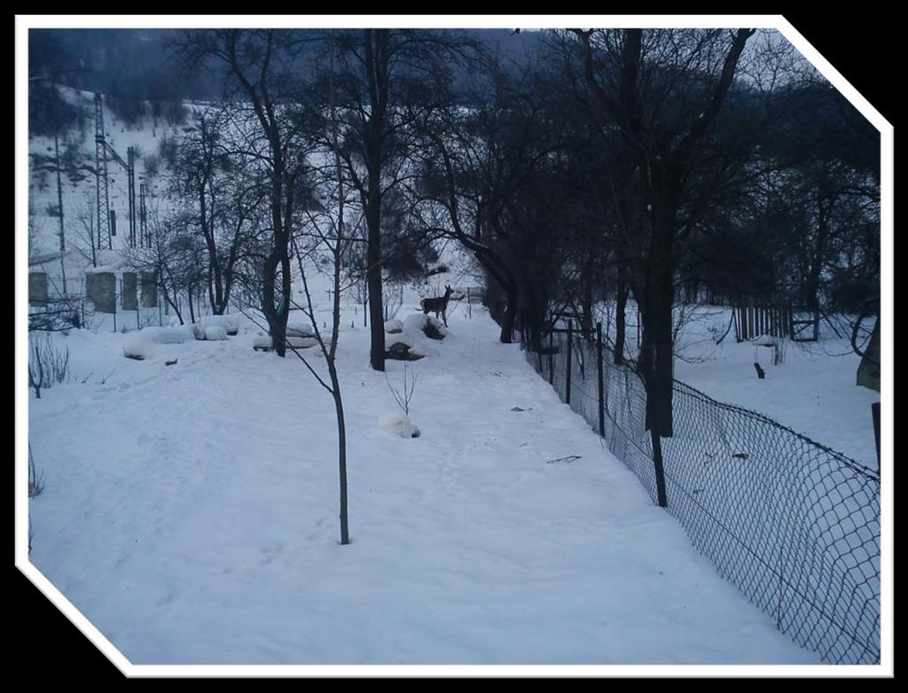 1 2 3 4 5 6 7 8 9 10 11 12 13 14 15 16 17 18 19 20 21 22 23 24 25 26 27 28 29 30 31 Všetky knihy zožltnú, ale kniha prírody má každý rok nové, nádherne vydanie. H. Ch.