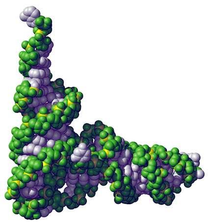 program Speciální chemicko-biologické obory obor