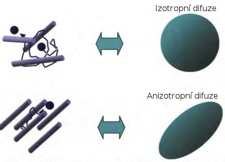 1.3 Modely pro odhad profilu anizotropní difuze Význam modelovacích technik spočívá v tom, že se snažíme rekonstruovat difuzní propagační vektor z difuzně vážených dat.