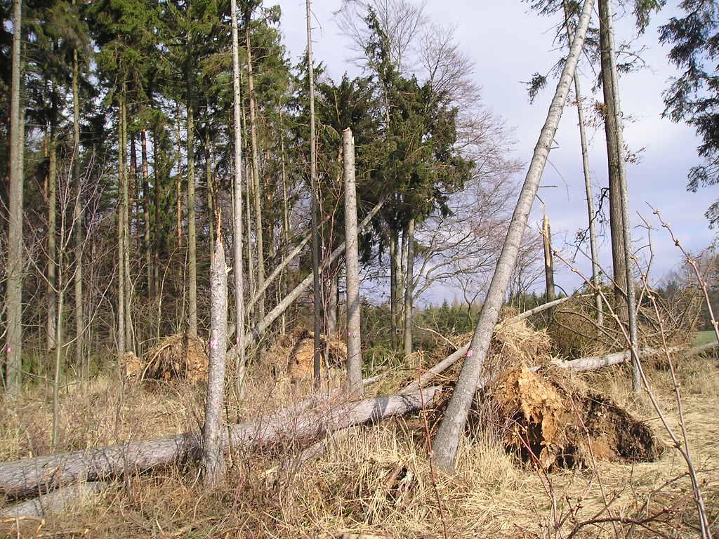 2006) Obr. 2: Plocha č.