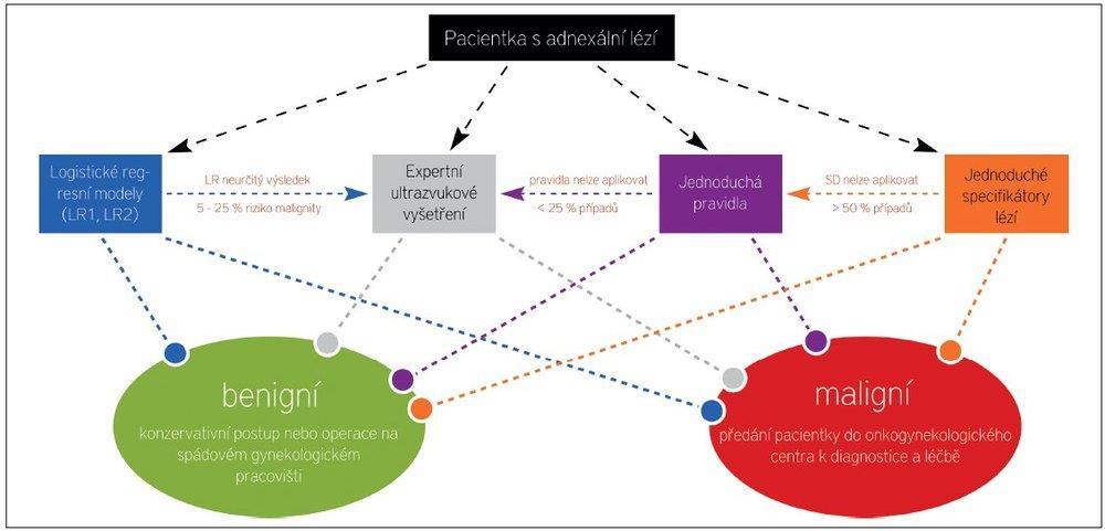Diferenciální diagnostika benigní vs maligní strategie