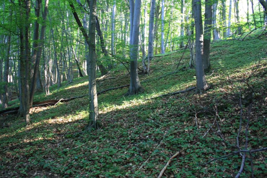 Mikulenčák, foceno
